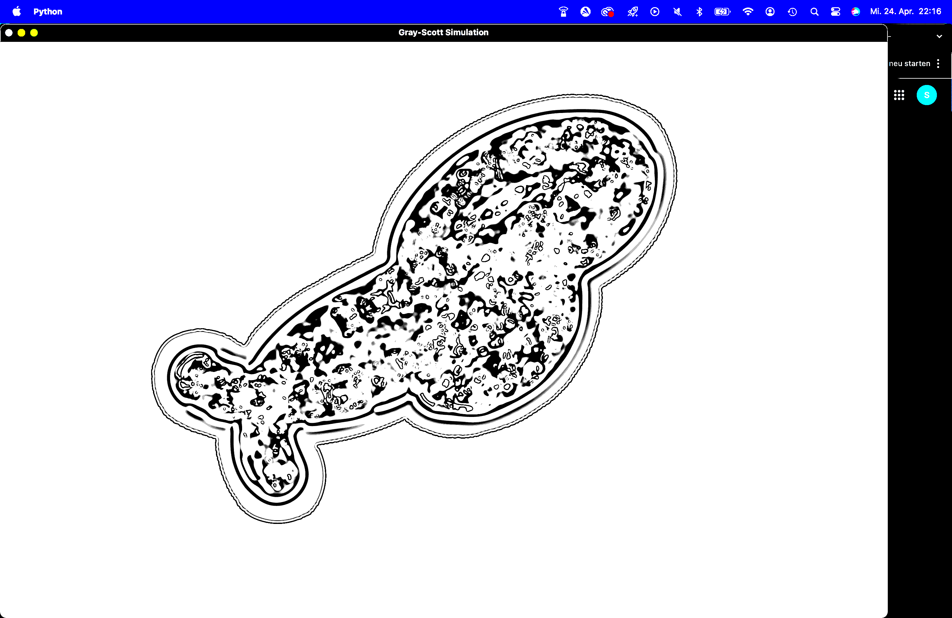 Portfolio Image 5